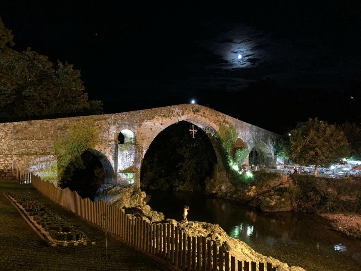 Telena Apartment Cangas de Onis Bagian luar foto